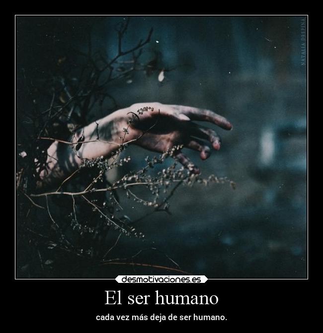 El ser humano -