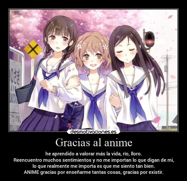 Gracias al anime -