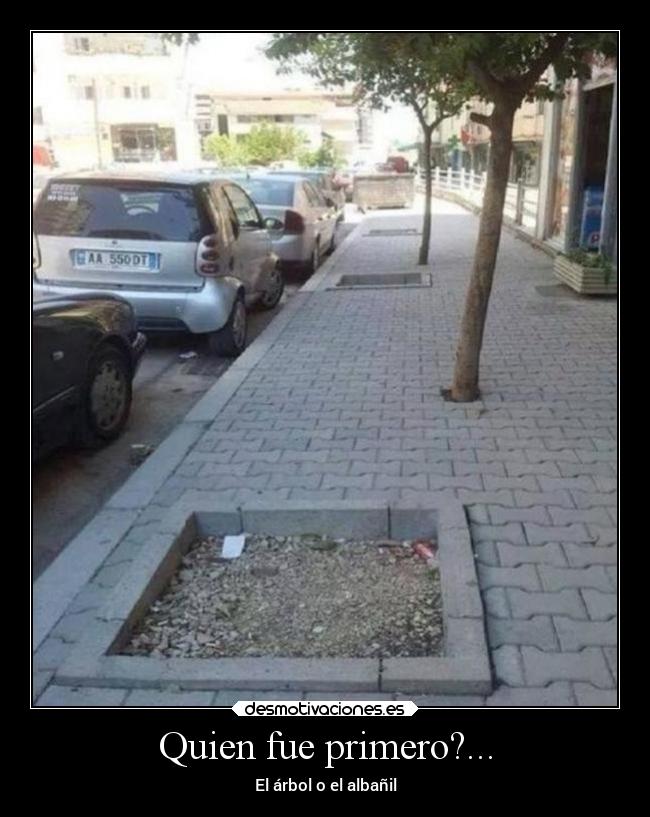 Quien fue primero?... - El árbol o el albañil
