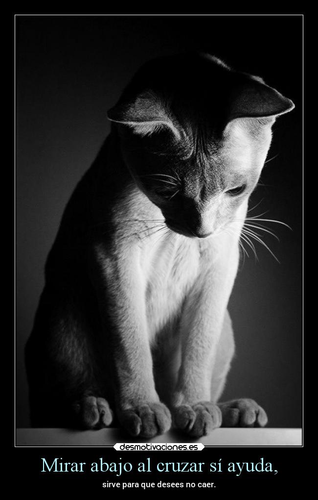 Mirar abajo al cruzar sí ayuda, - sirve para que desees no caer.