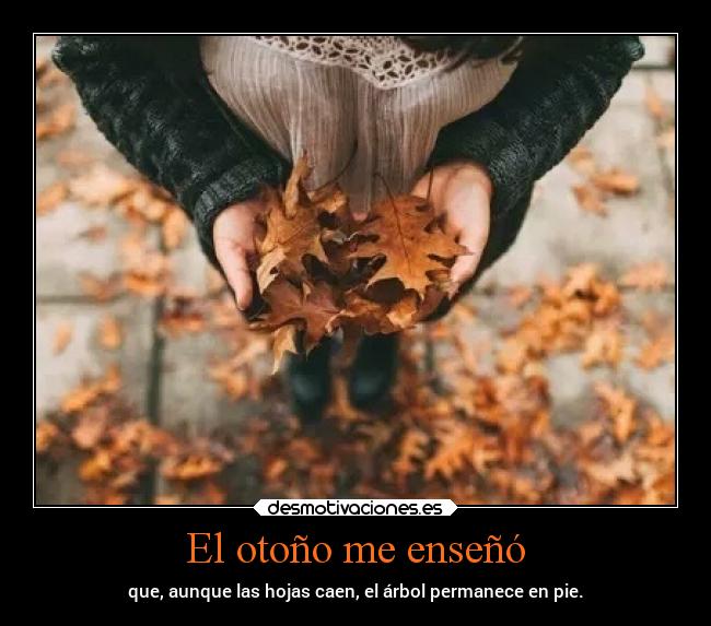El otoño me enseñó - 
