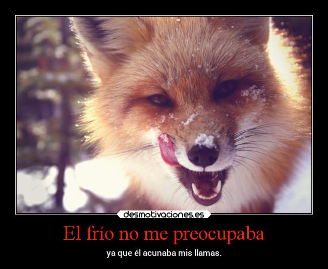 El frío no me preocupaba -