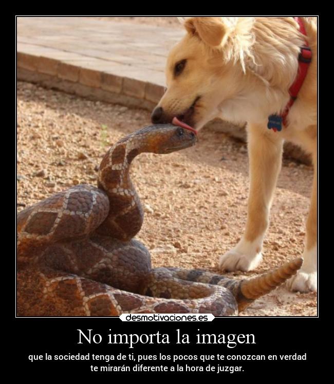 No importa la imagen - 