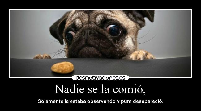 Nadie se la comió, -