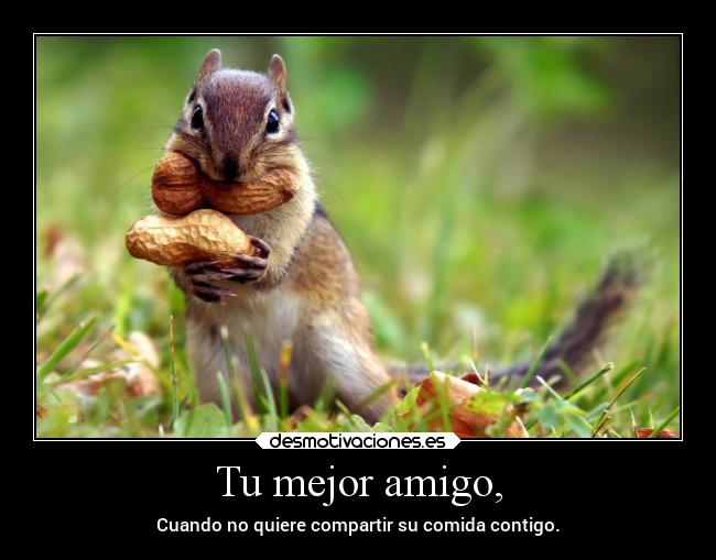 carteles chiste desmotivaciones