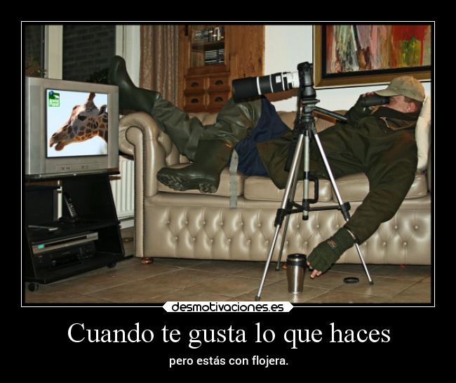 Cuando te gusta lo que haces - 