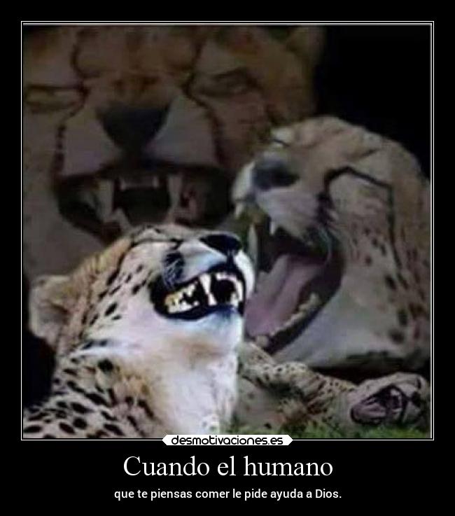 Cuando el humano -