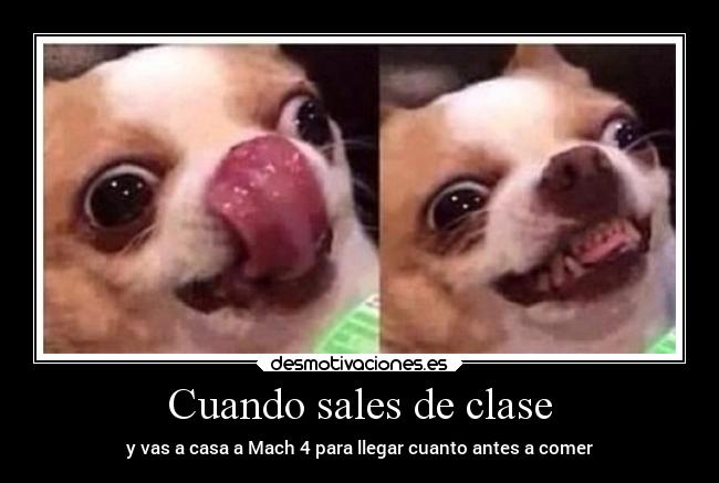Cuando sales de clase - y vas a casa a Mach 4 para llegar cuanto antes a comer