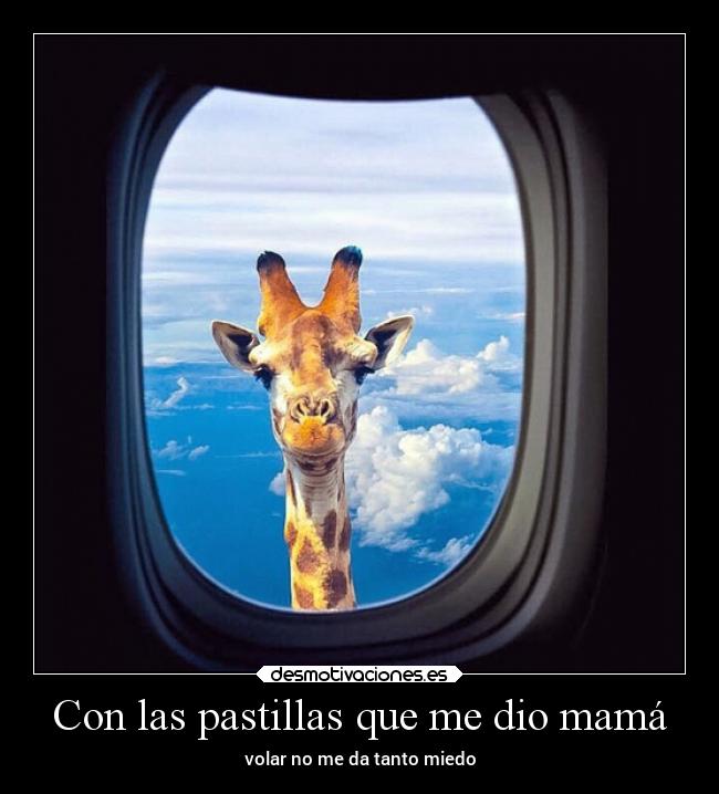 Con las pastillas que me dio mamá -