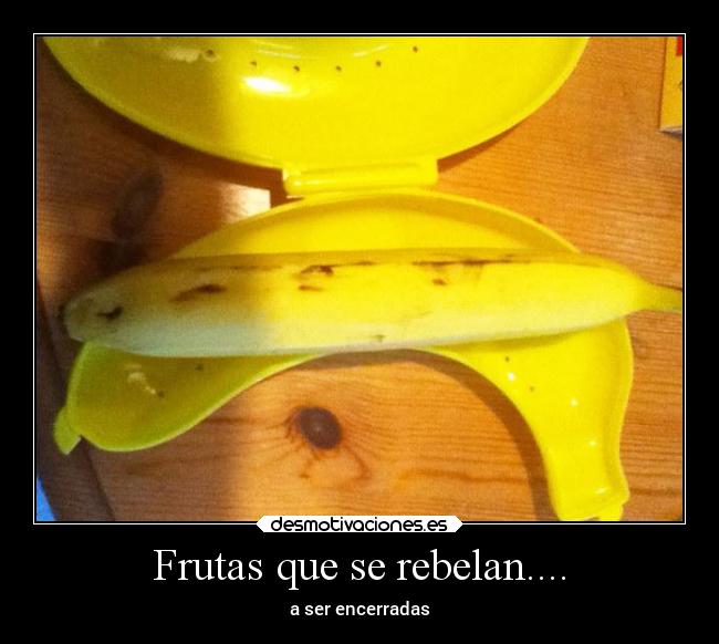 Frutas que se rebelan.... -