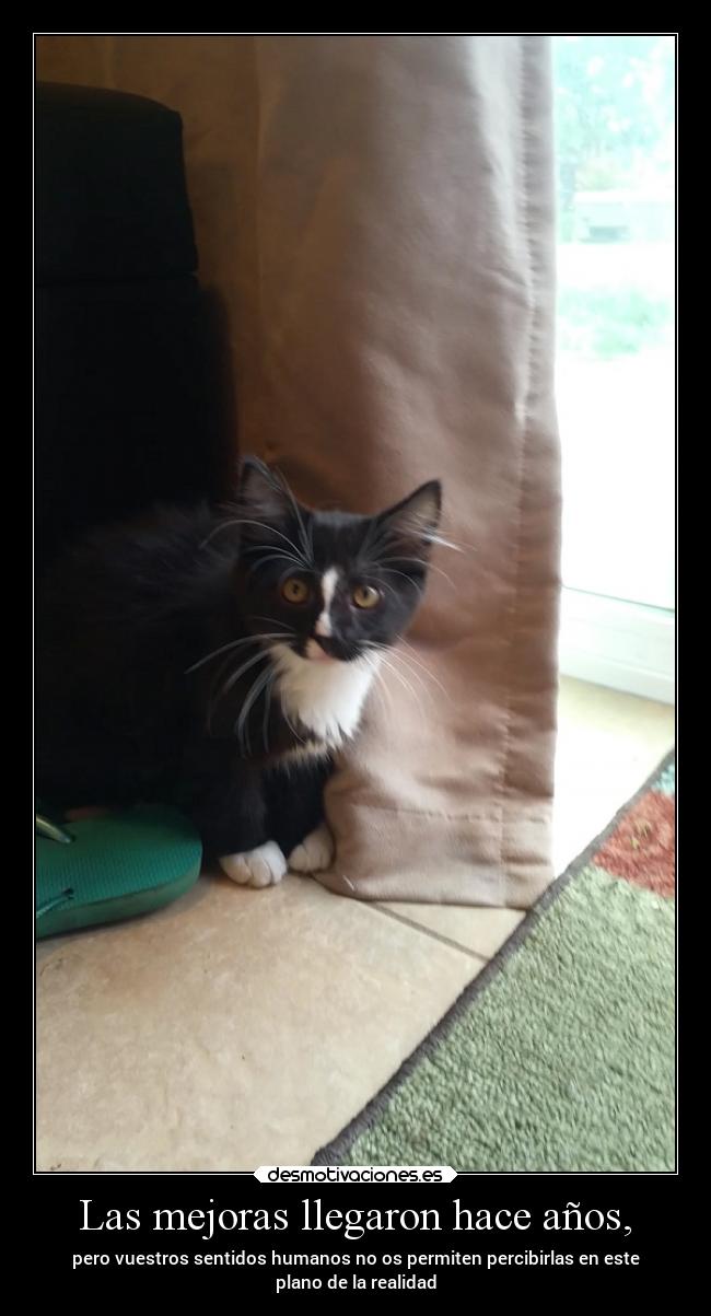 carteles desmotivaciones clandesplazado slipkdemon waltk mejoras llegar anos sentidos percibir realidad desmotivaciones