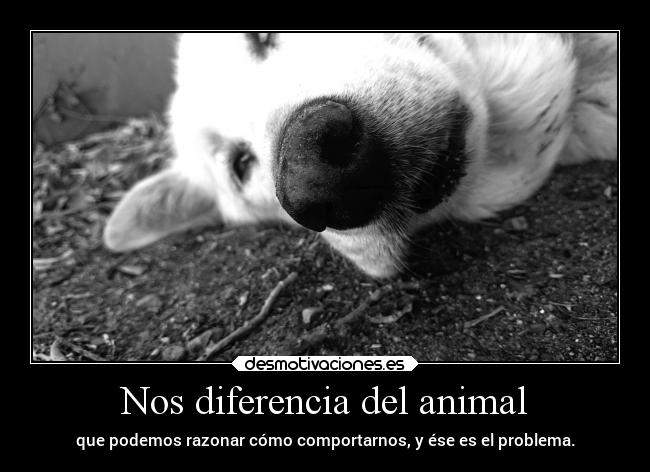 Nos diferencia del animal - que podemos razonar cómo comportarnos, y ése es el problema.