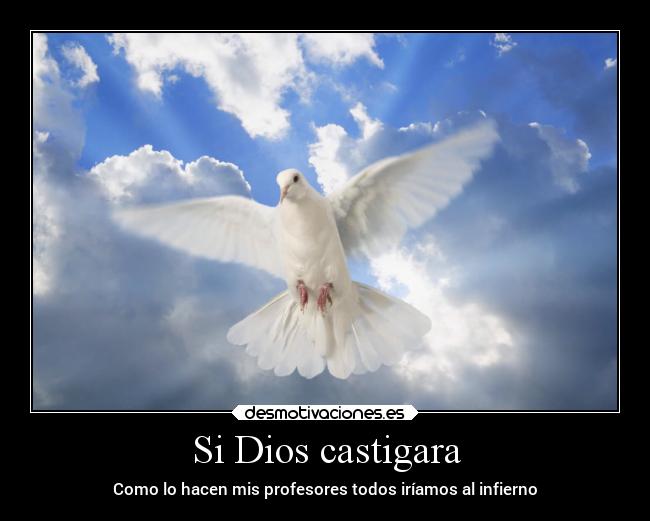 Si Dios castigara - 