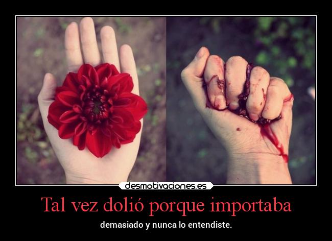 Tal vez dolió porque importaba - 