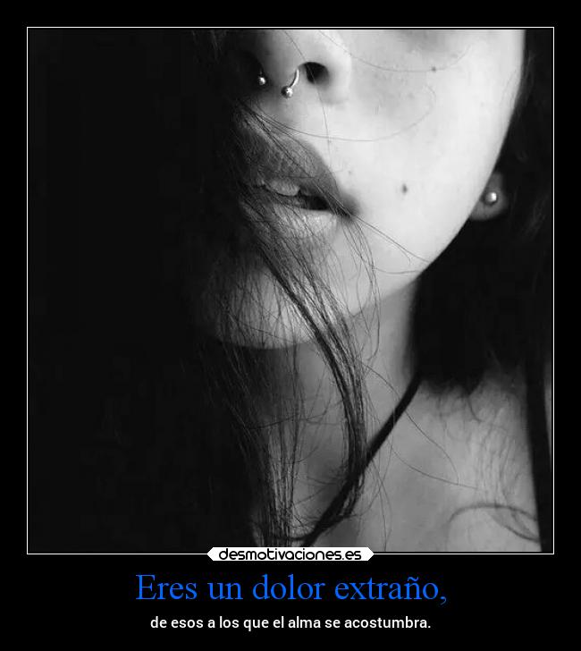 carteles dolor sentimientos alma ideas dolor vida extrano mels acostumbrase desmotivaciones