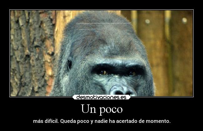 Un poco - más difícil. Queda poco y nadie ha acertado de momento.