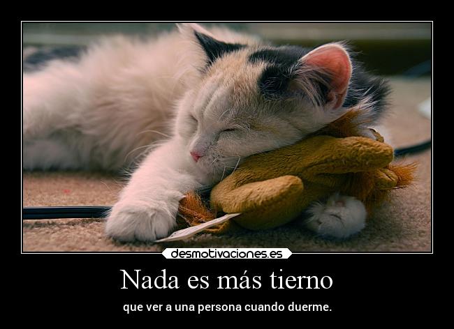 Nada es más tierno - que ver a una persona cuando duerme.