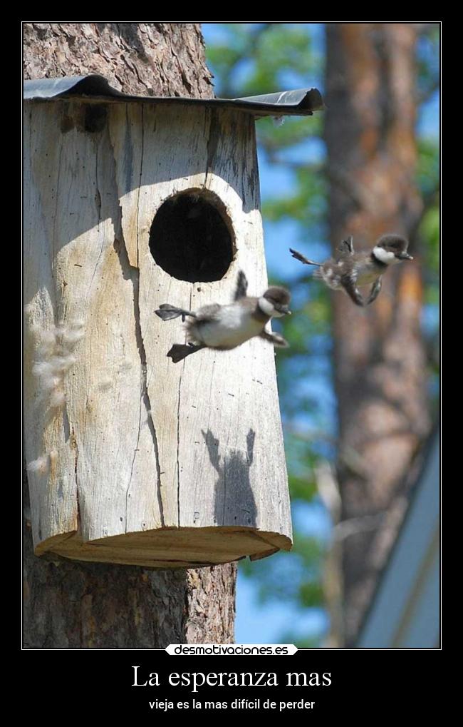 La esperanza mas - vieja es la mas difícil de perder