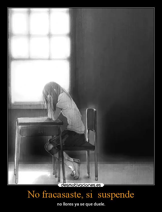 No fracasaste, si  suspende - no llores ya se que duele.
