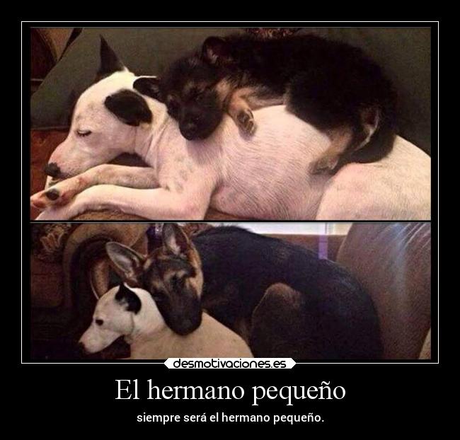 El hermano pequeño - siempre será el hermano pequeño.