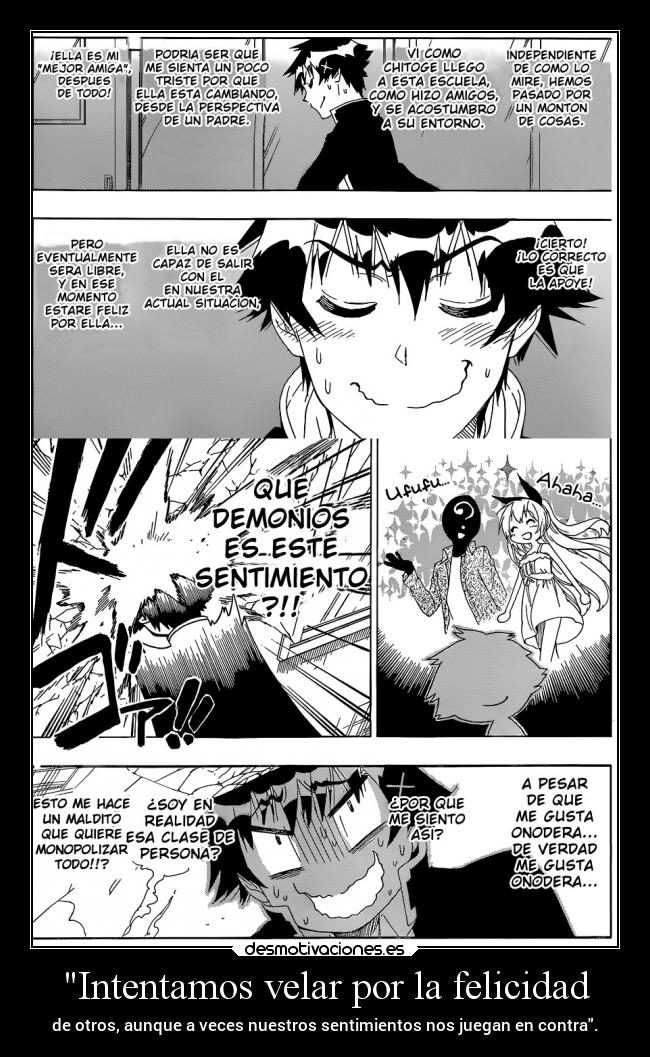 Intentamos velar por la felicidad -