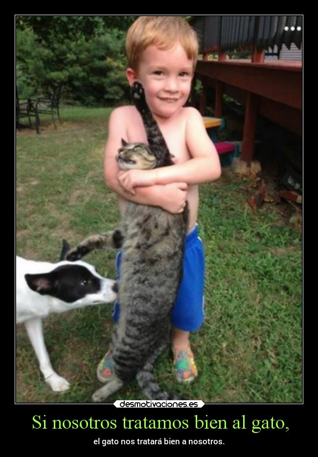 Si nosotros tratamos bien al gato, -