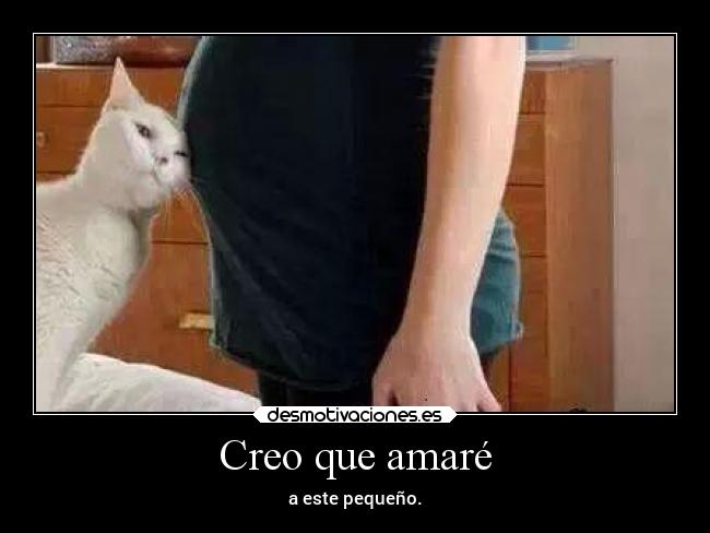 Creo que amaré - a este pequeño.