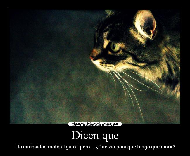 Dicen que - ¨la curiosidad mató al gato¨ pero... ¿Qué vio para que tenga que morir?