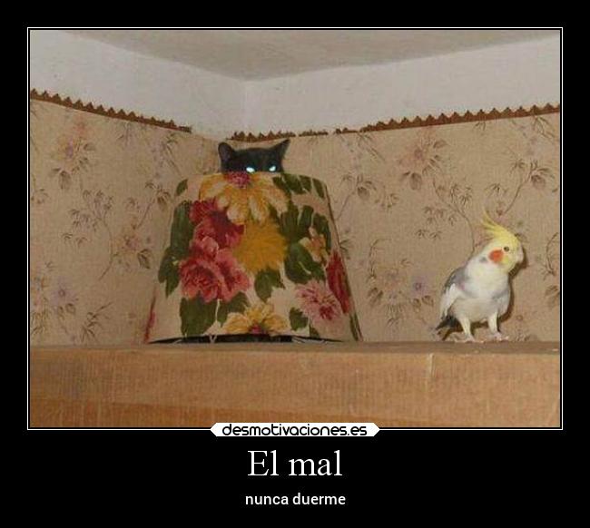 El mal -