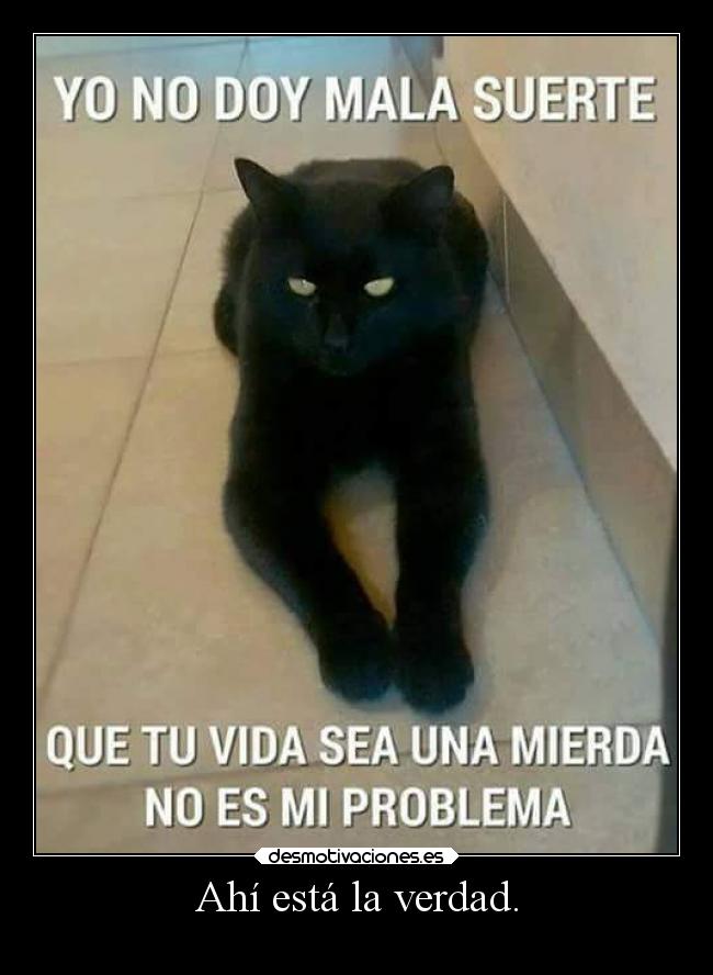 Ahí está la verdad. -