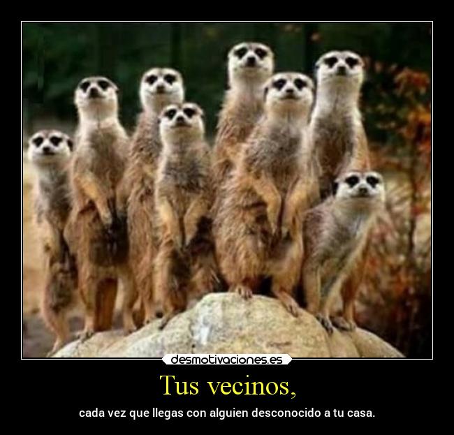 Tus vecinos, -