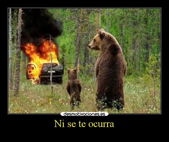 carteles graciosas desmotivaciones desmotivaciones