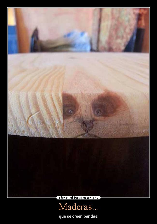 Maderas... - que se creen pandas.