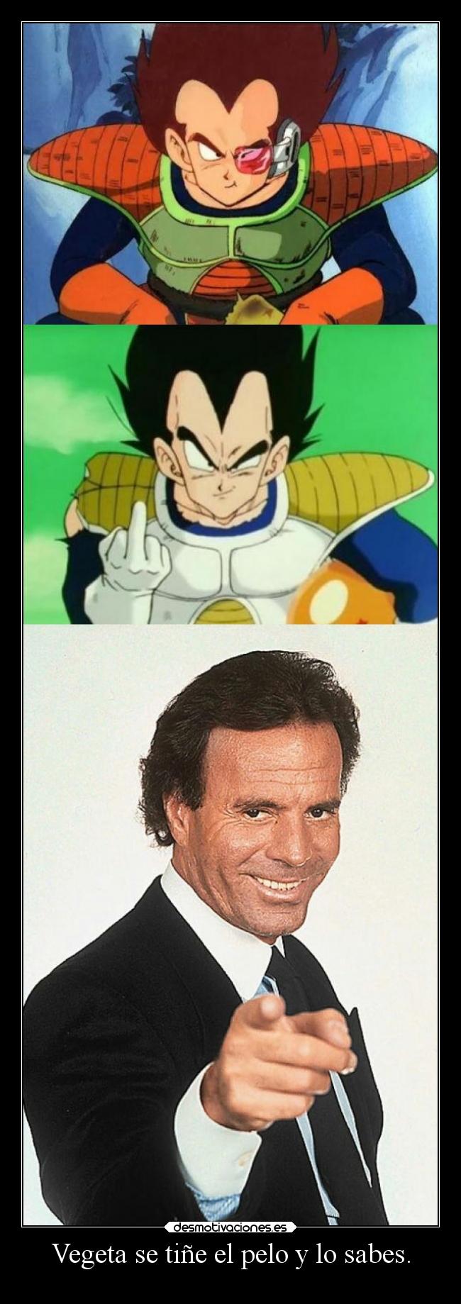 Vegeta se tiñe el pelo y lo sabes. - 