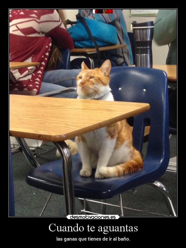 Cuando te aguantas -