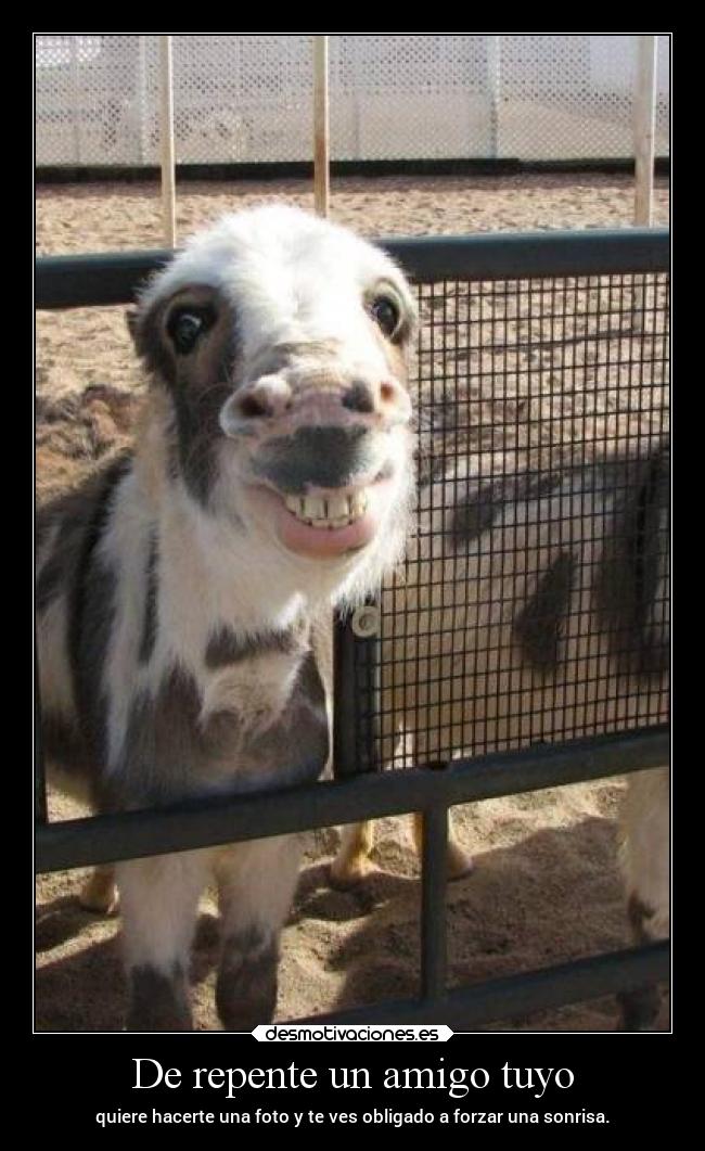 De repente un amigo tuyo -