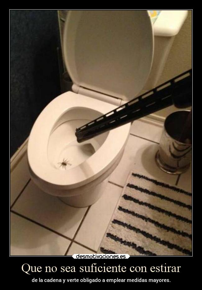 carteles humor graciosas retrete cadena aracnidos medidas escopeta clanpatosos rilacs desmotivaciones