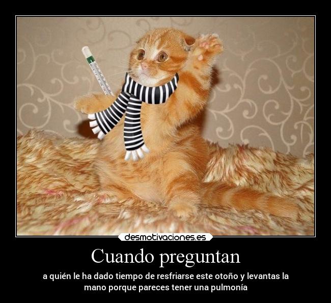 Cuando preguntan - a quién le ha dado tiempo de resfriarse este otoño y levantas la
mano porque pareces tener una pulmonía