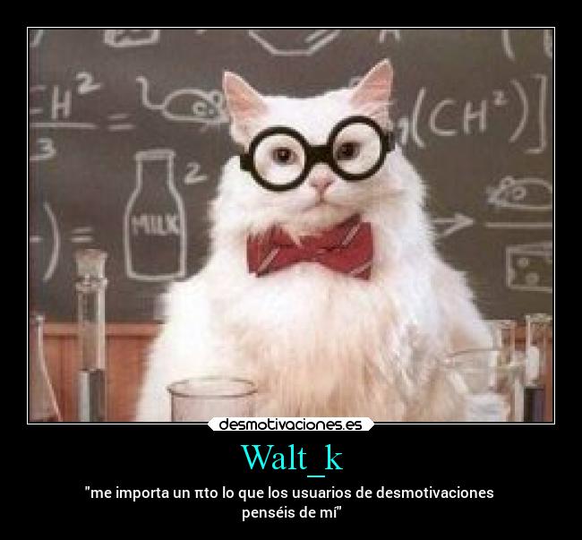 Walt_k - me importa un πto lo que los usuarios de desmotivaciones 
penséis de mí