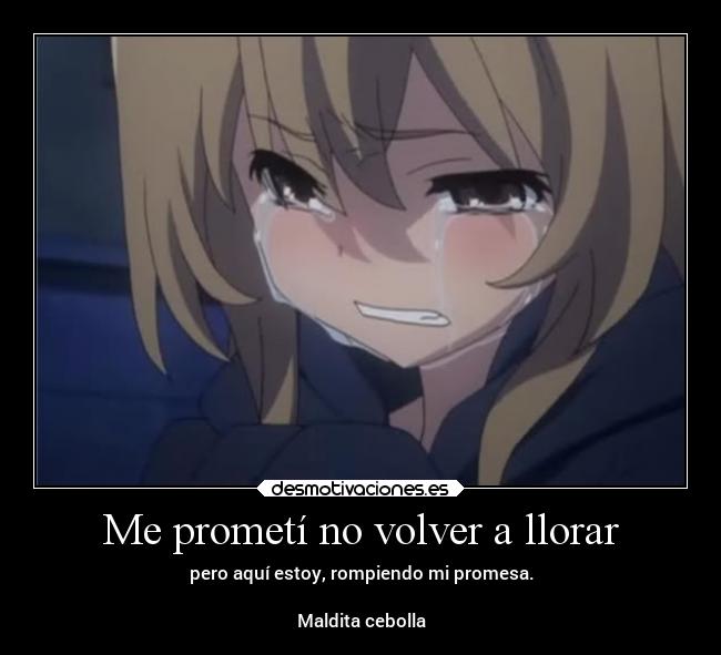 Me prometí no volver a llorar - pero aquí estoy, rompiendo mi promesa.
Maldita cebolla