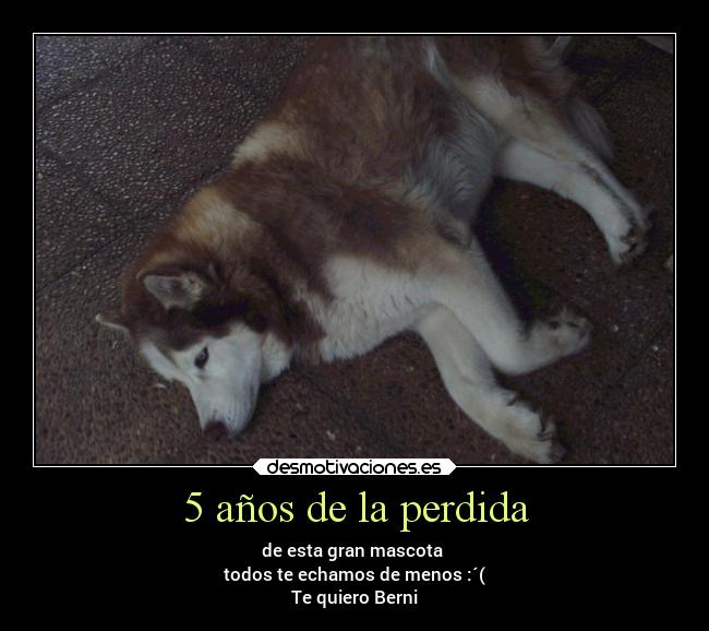5 años de la perdida -