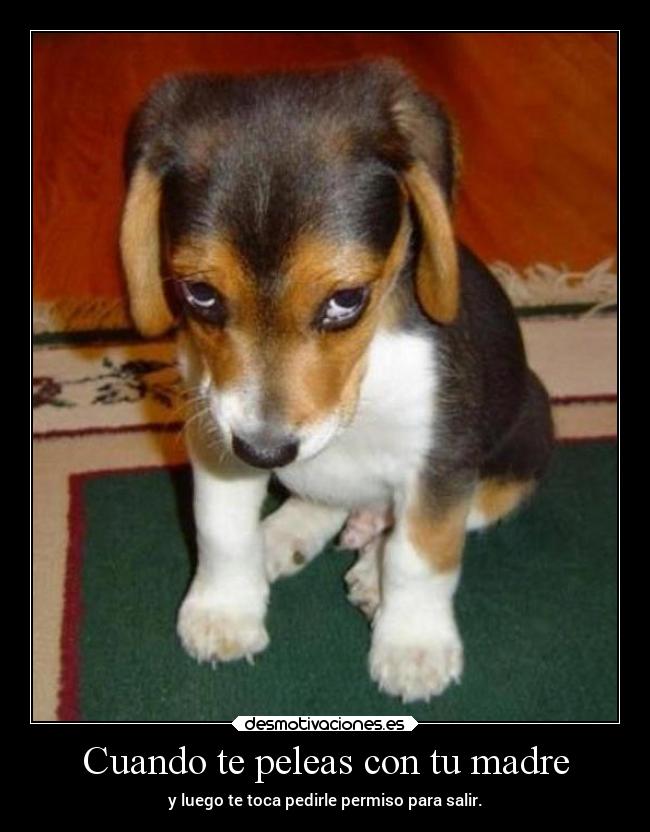 Cuando te peleas con tu madre -
