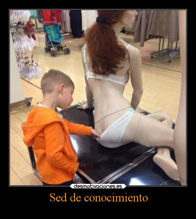 Sed de conocimiento - 