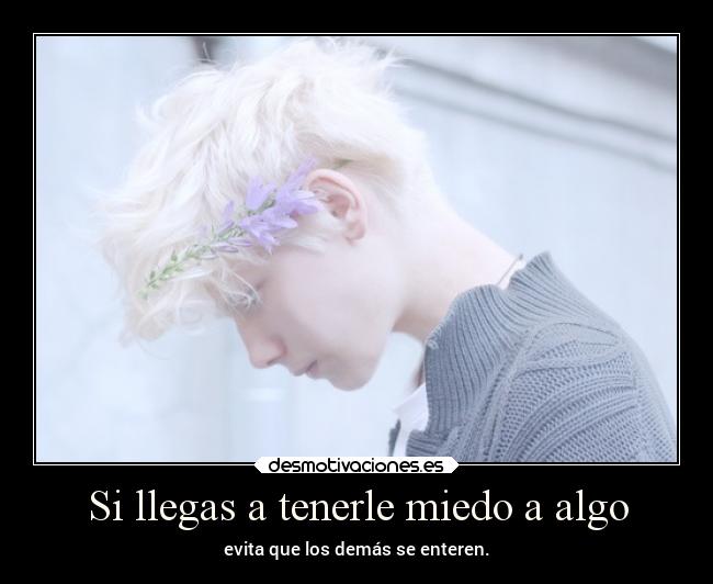 carteles miedo alegria desmotivaciones