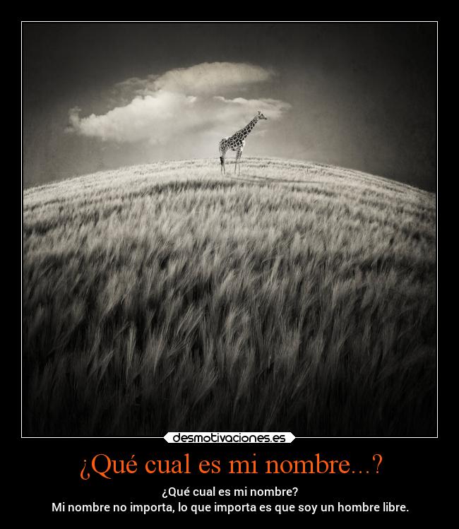 ¿Qué cual es mi nombre...? - ¿Qué cual es mi nombre?
Mi nombre no importa, lo que importa es que soy un hombre libre.