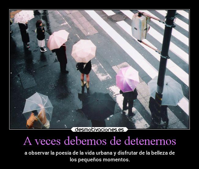 A veces debemos de detenernos -