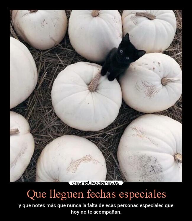 carteles muerte pensamientos sentimientos vida desmohalloween papavaporti desmotivaciones