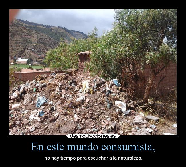 En este mundo consumista, -