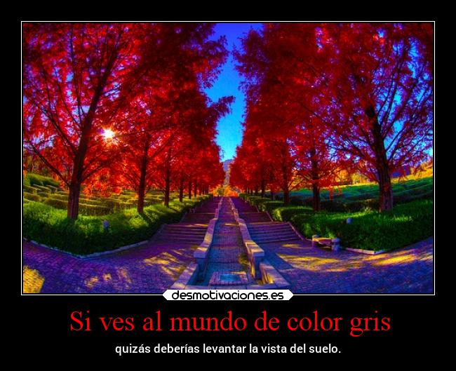 Si ves al mundo de color gris -