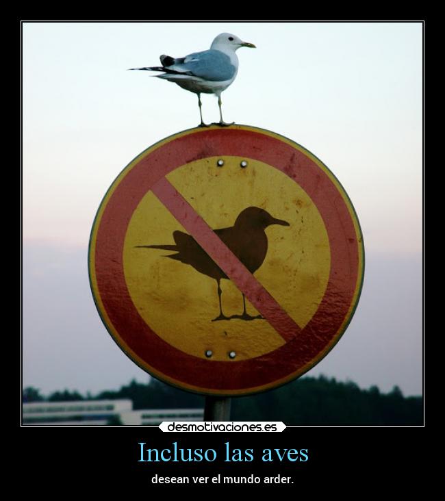 Incluso las aves - desean ver el mundo arder.